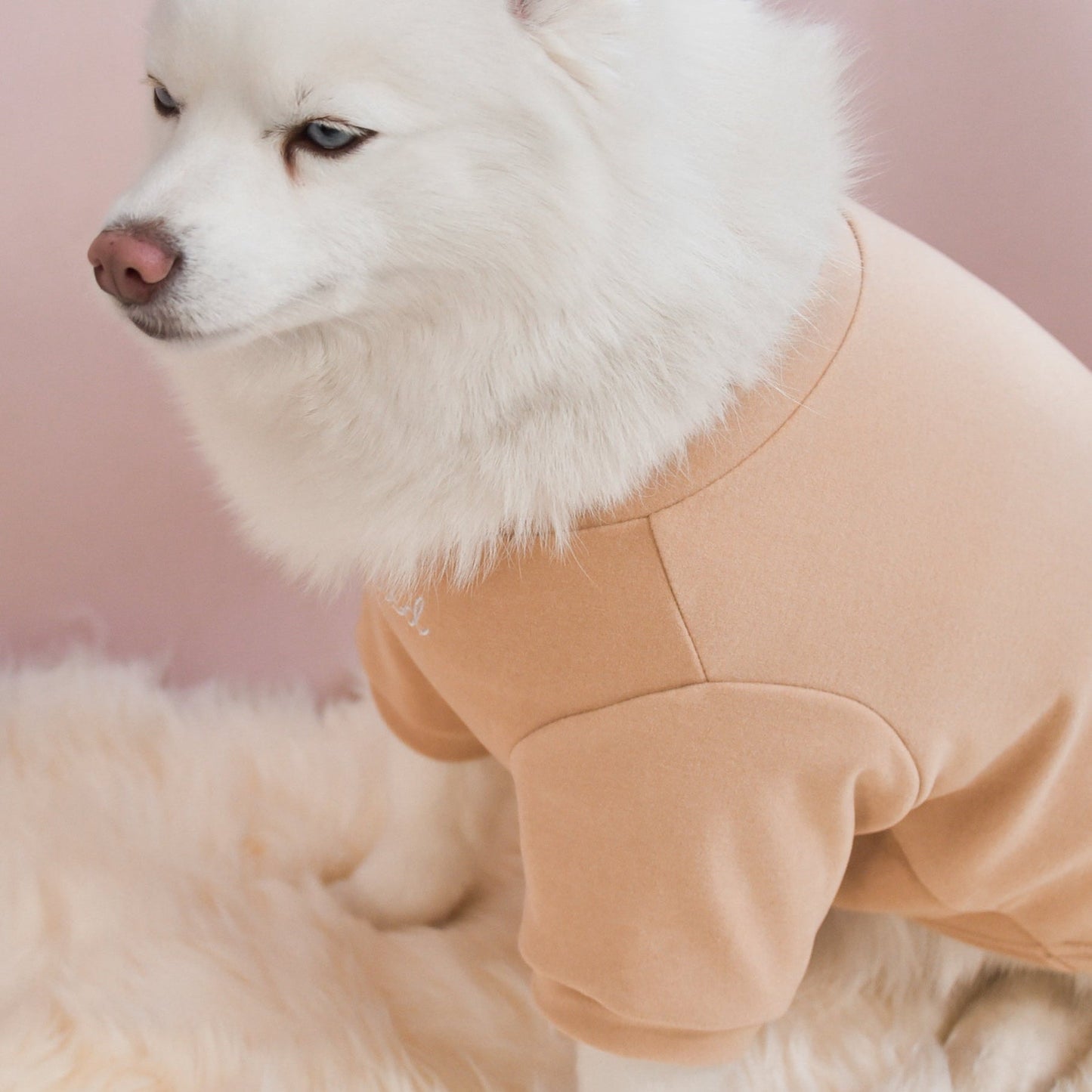 Fur Elise Spoiled Mock Neck Shirt - Latte