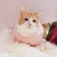 Fur Elise Spoiled Mock Neck Shirt - Blush