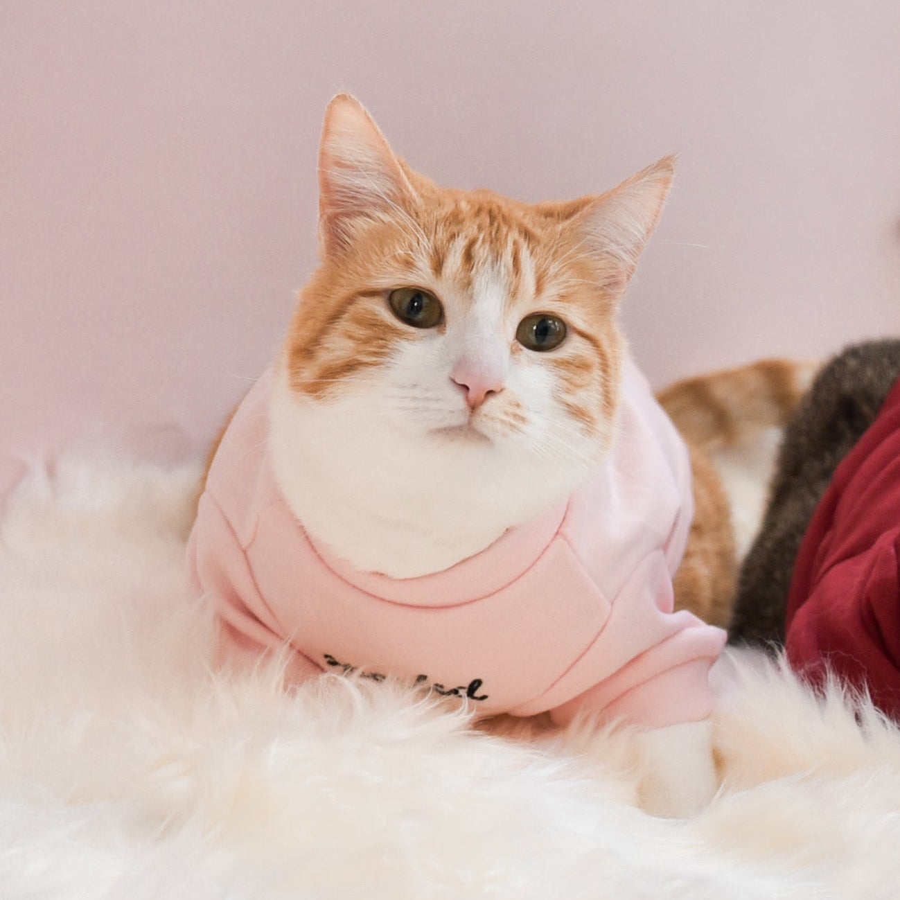 Fur Elise Spoiled Mock Neck Shirt - Blush