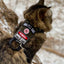Beware of Ninja Cat Morale Patch