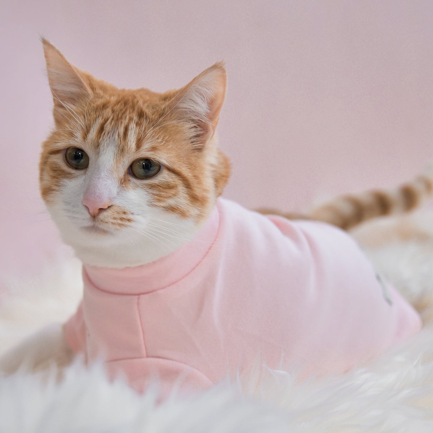 Fur Elise Spoiled Mock Neck Shirt - Blush