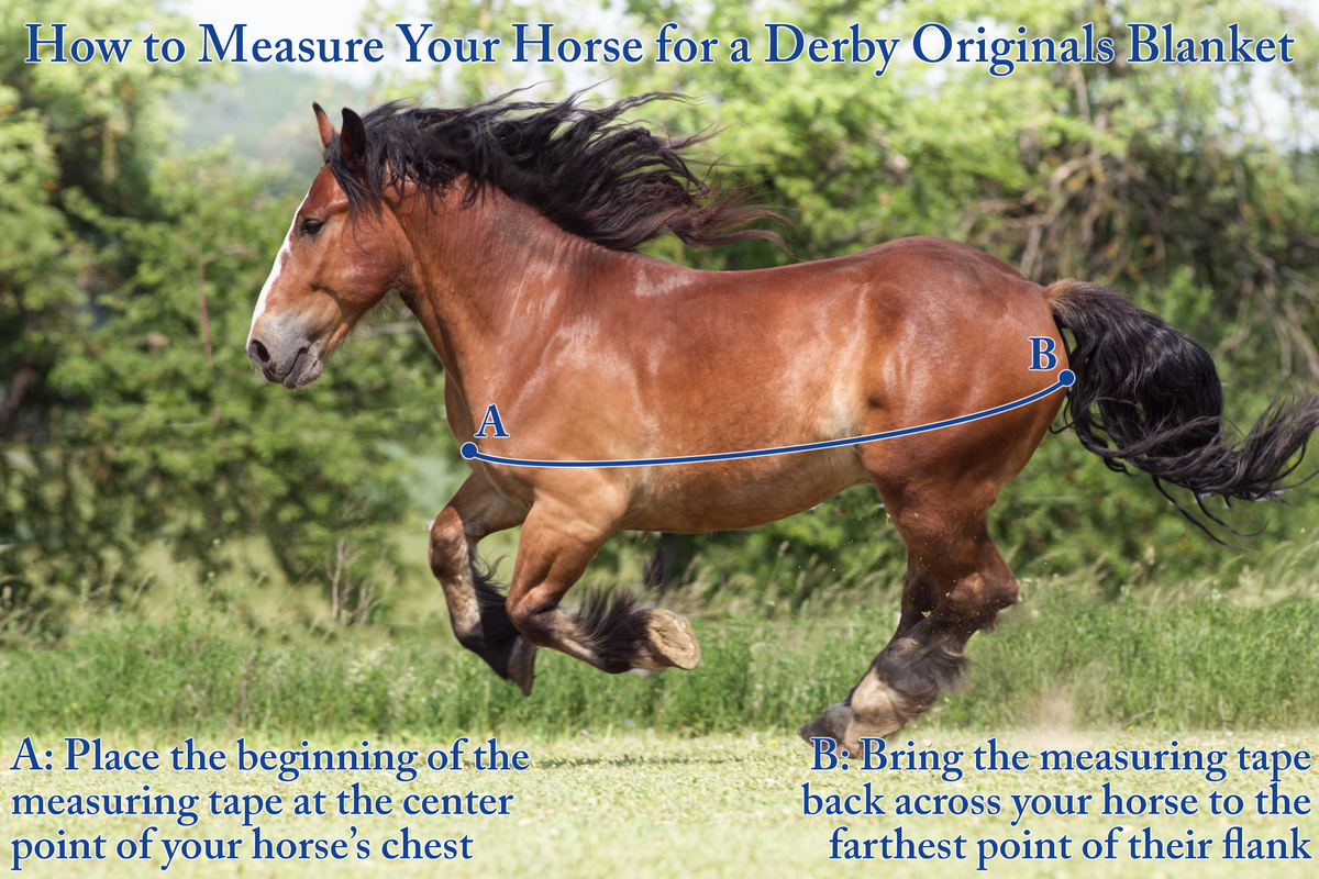 Derby Originals Nordic-Tough 1200D Heavyweight Mini Horse & Pony Turnout Blanket – Waterproof, Reflective, 300g Insulation, Triple-Layer Design, 210T Lining, 2-Year Warranty