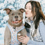 Dog Adjustable Harness - Let it Bow