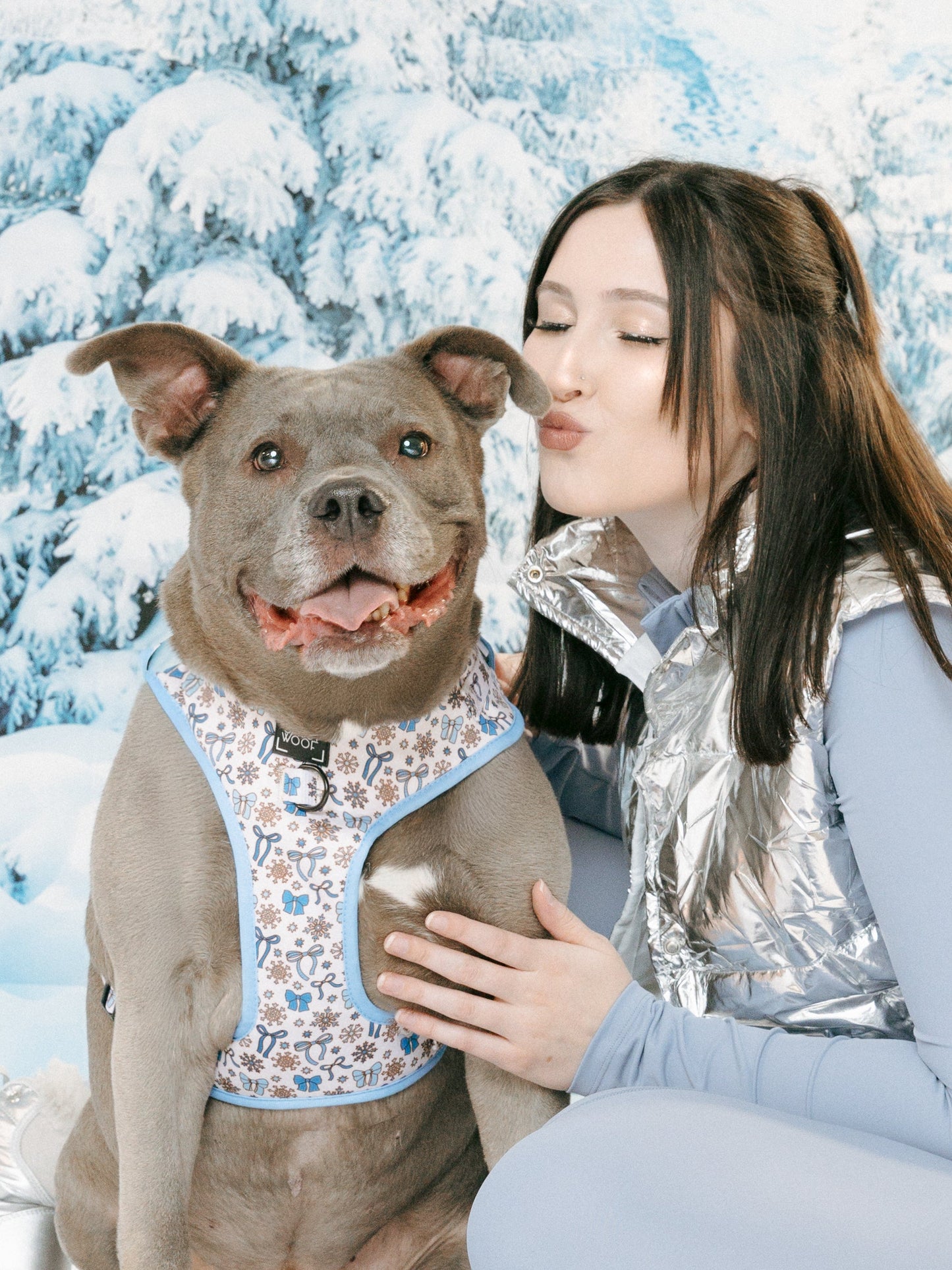 Dog Adjustable Harness - Let it Bow