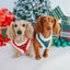 Dog Adjustable Harness - Nice