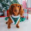 Dog Adjustable Harness - Nice