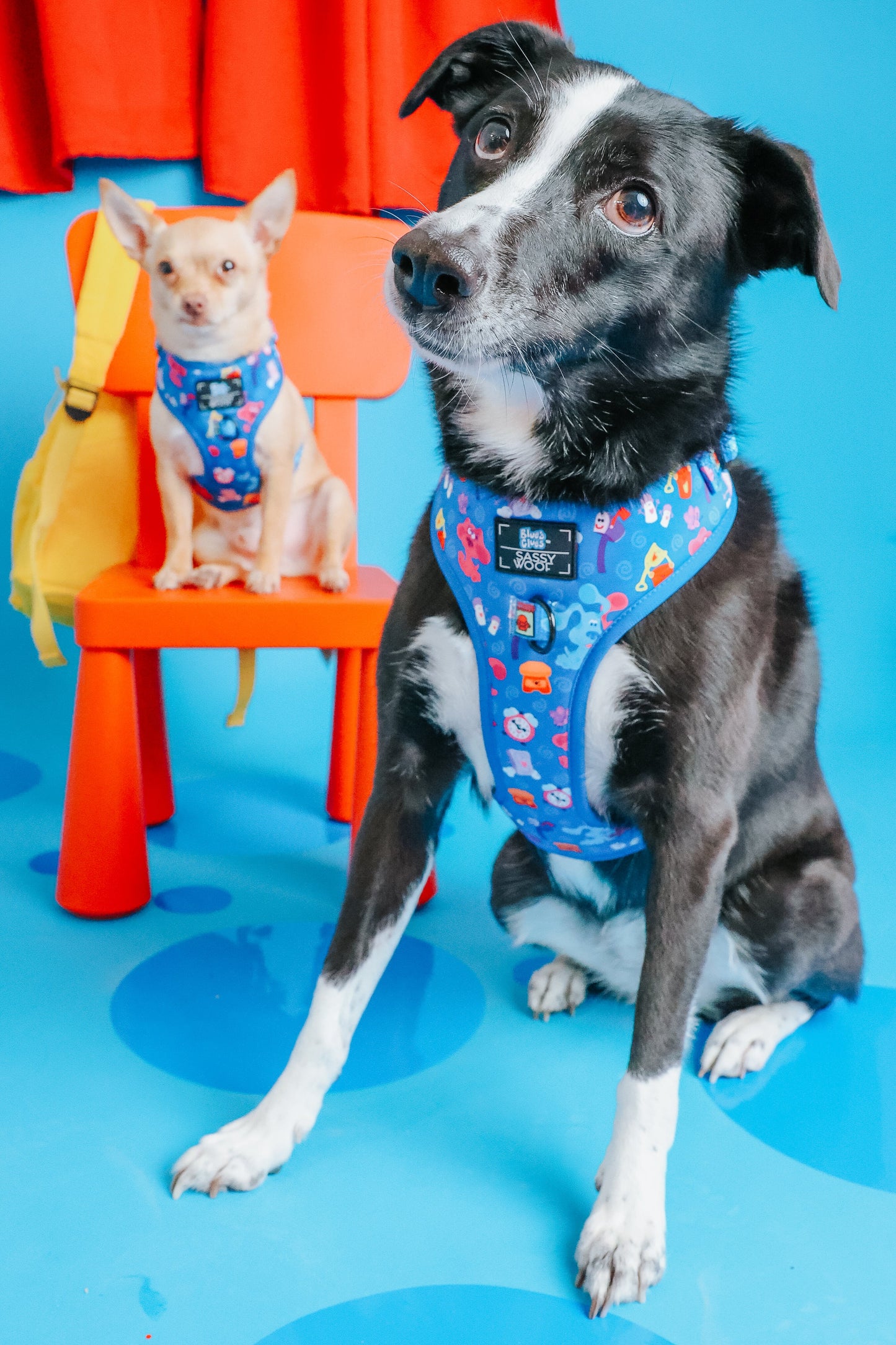 Dog Adjustable Harness - Blue's Clues™