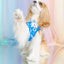 Dog Adjustable Harness - Care Bears™ Grumpy Bear