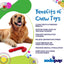 Candy Cane Nylon Dog Toy for Aggressive Chewers | USA Made | SodaPup