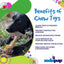 Honey Bone Dental Flower Tower - Indestructible Nylon Dog Chew Toy XL | USA