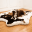 PupRug® Animal Print Memory Foam Dog Bed - Brown Faux Cowhide