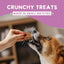 Oven Baked Peanut Butter Treats