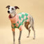 Sunday Brunch in Brooklyn Sweater