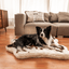 PupRug® Animal Print Memory Foam Dog Bed - Brown Faux Cowhide