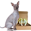 4-HAIRLESS PETS *DOG RESTORATIVE KIT