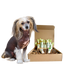 4-HAIRLESS PETS *DOG SENSITIVE KIT