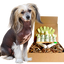 4-HAIRLESS PETS *DOG SENSITIVE KIT