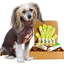 4-HAIRLESS PETS *DOG SENSITIVE KIT