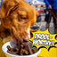 Birthday Dog Treats, 4-Pack