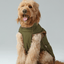 Reversible Dog Vest Jacket - Green Brown