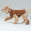 Reversible Dog Vest Jacket - Orange Grey