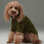 GLACIER PET SWEATER - OLIVE GREEN