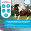 Survivor Equine Detangler
