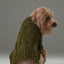 GLACIER PET SWEATER - OLIVE GREEN