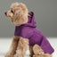 Capsule Raincoat - Purple