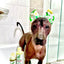 4-ALL PETS SHOWER / EAR / SUN CAP!