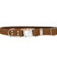 Modern Style Quick-Release Leather Dog Collar