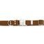 Modern Style Quick-Release Earth Brown Leather Dog Collar