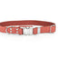 Modern Style Quick-Release Leather Dog Collar