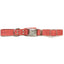 Modern Style Quick-Release Coral Reef Leather Dog Collar