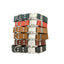 Modern Style Quick-Release Leather Dog Collar