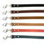 Modern Style Leather Dog Leash