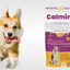 Premium Calm and Comfort Powder
