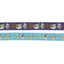 Dog Leash - STAR WARS™ The Mandalorian™