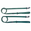 Evergreen Dream Leashes