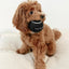 Classic Tennis Ball Set of 5 - Noir