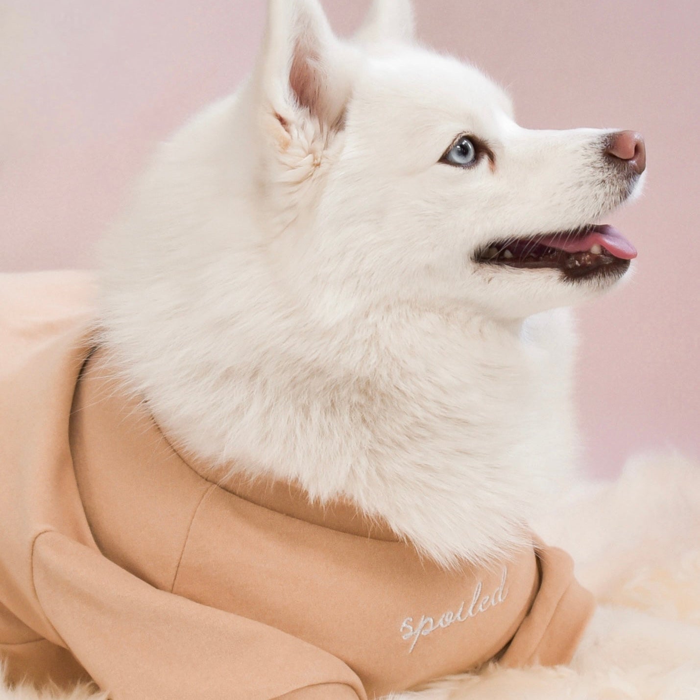 Fur Elise Spoiled Mock Neck Shirt - Latte
