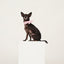 Pink Cotton Scarf