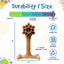 Honey Bone Dental Flower Tower - Indestructible Nylon Dog Chew Toy XL | USA