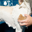 Nourishing Dog Shampoo Bar