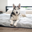 PupChill™ Cooling Waterproof Blanket - Arctic Grey