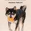 PARADISE PET TOY- Erysimum