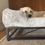 The FÜZI Elevated Dog Bed
