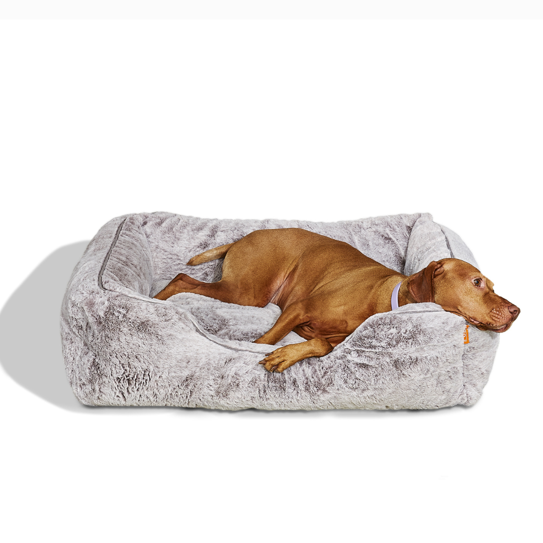 The Sammy Dog Bed Cover