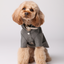 BOWERY RAINCOAT - GRAY