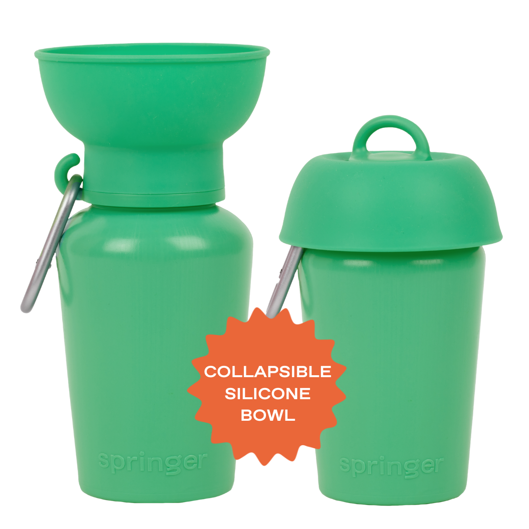 20oz Flip Travel Dog Water Bottle